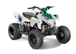 Polaris OUTLAW 110 EFI - BRIGHT WHITE / RADIANT GREEN