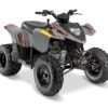 Polaris PHOENIX 200 - AVALANCHE GRAY